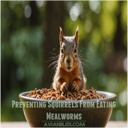 Preventing Squirrels From Eating Mealworms