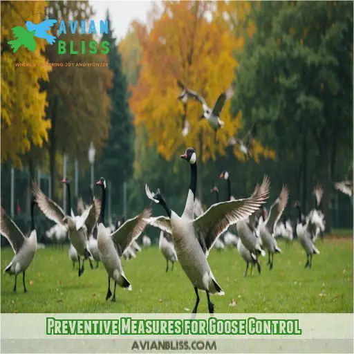 Preventive Measures for Goose Control