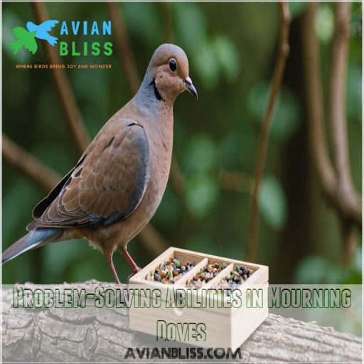 Problem-Solving Abilities in Mourning Doves