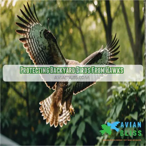 Protecting Backyard Birds From Hawks