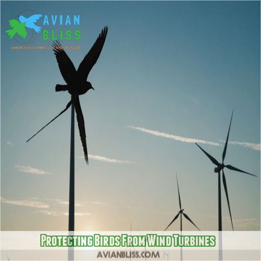 Protecting Birds From Wind Turbines