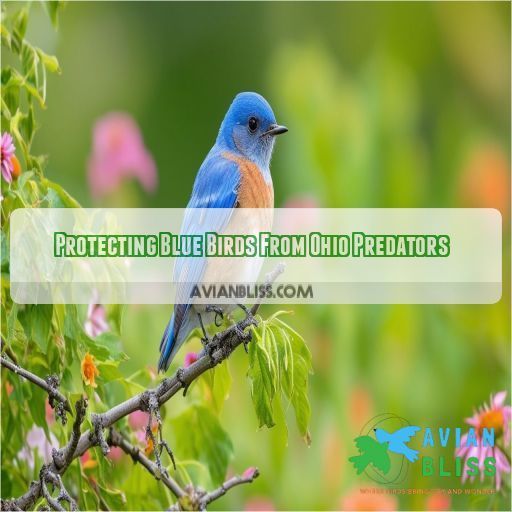 Protecting Blue Birds From Ohio Predators