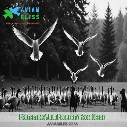 Protecting Your Property From Geese