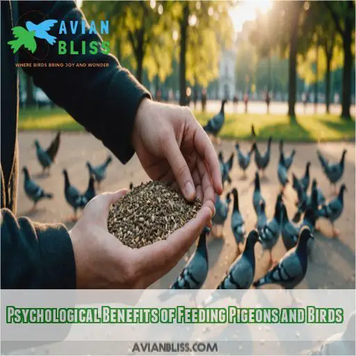 Psychological Benefits of Feeding Pigeons and Birds