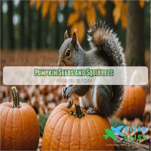 Pumpkin Seeds and Squirrels