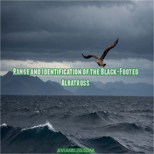 Range and Identification of the Black-Footed Albatross