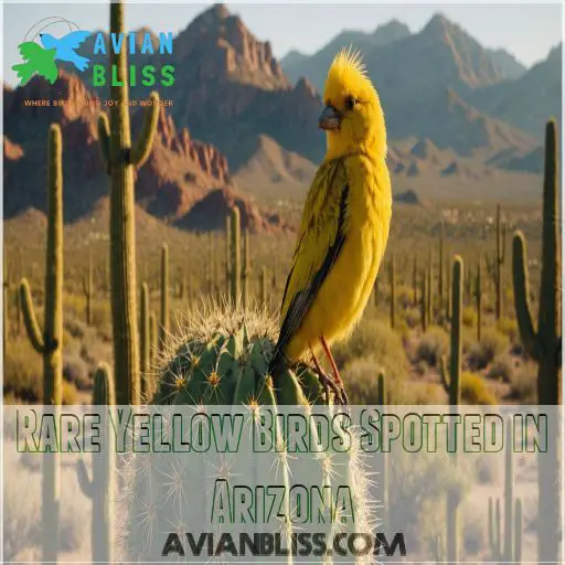 Rare Yellow Birds Spotted in Arizona