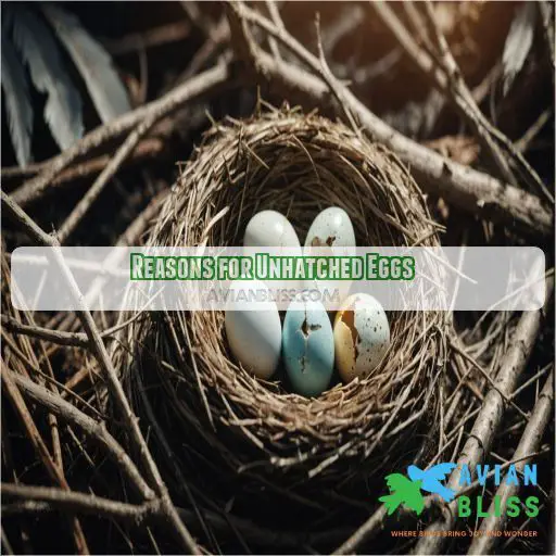 Reasons for Unhatched Eggs