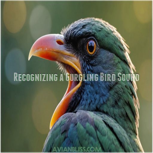 Recognizing a Gurgling Bird Sound