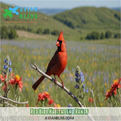 Red Bird Habitat and Range