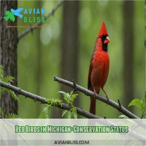 Red Birds in Michigan: Conservation Status