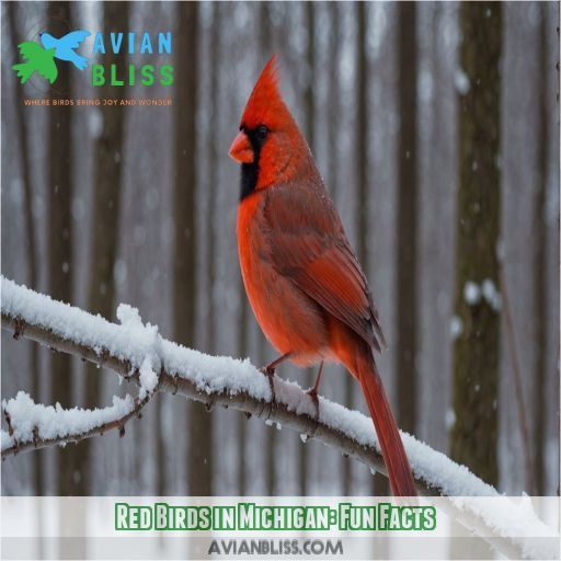 Red Birds in Michigan: Fun Facts