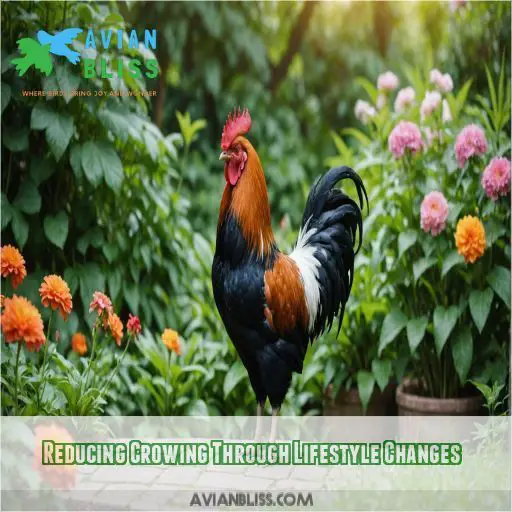 Reducing Crowing Through Lifestyle Changes