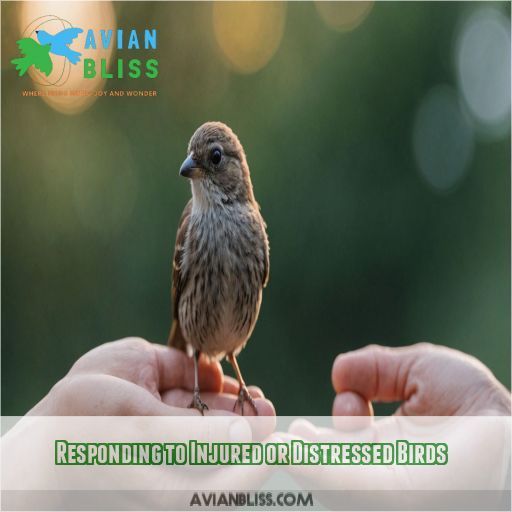 Responding to Injured or Distressed Birds