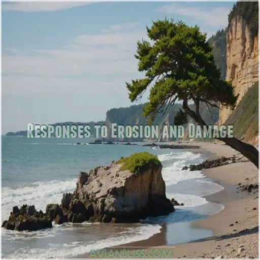 Responses to Erosion and Damage