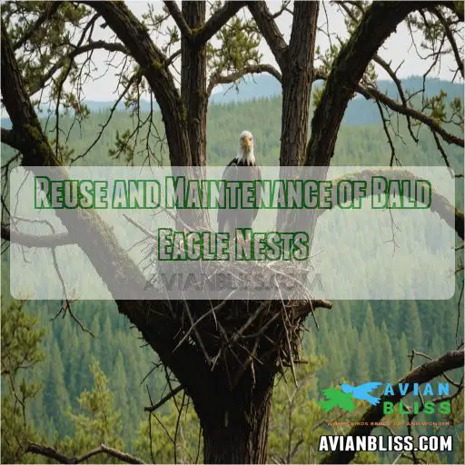 Reuse and Maintenance of Bald Eagle Nests