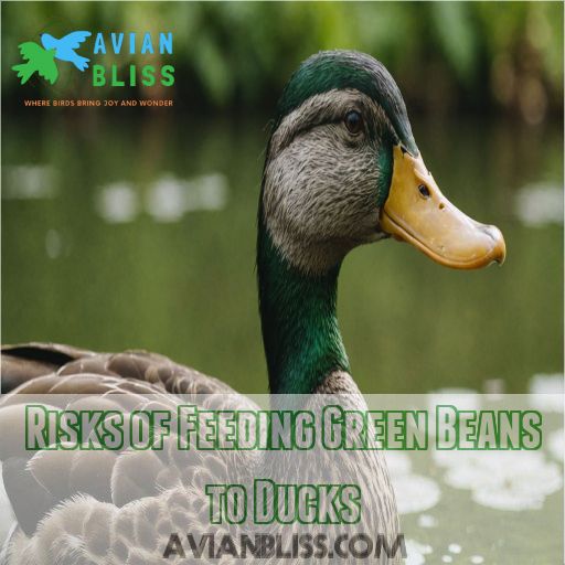 Risks of Feeding Green Beans to Ducks