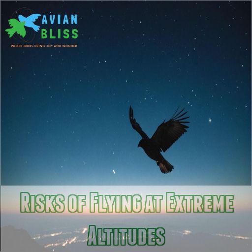 Risks of Flying at Extreme Altitudes