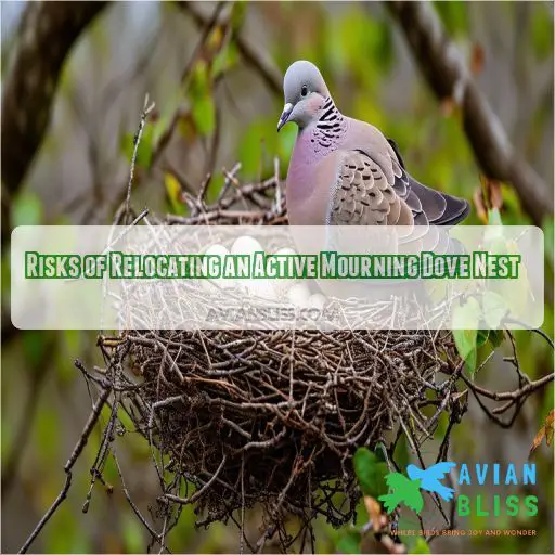 Risks of Relocating an Active Mourning Dove Nest