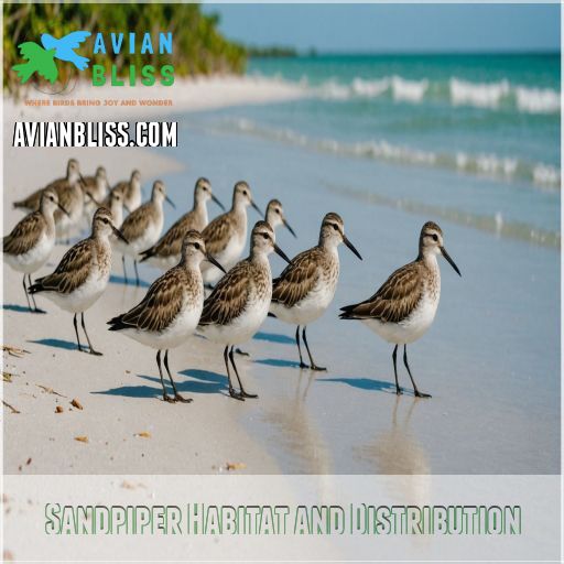 Sandpiper Habitat and Distribution