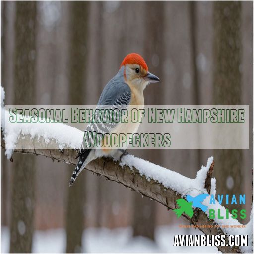 Seasonal Behavior of New Hampshire Woodpeckers