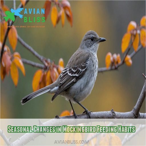 Seasonal Changes in Mockingbird Feeding Habits