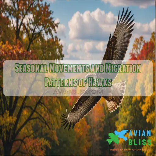 Seasonal Movements and Migration Patterns of Hawks