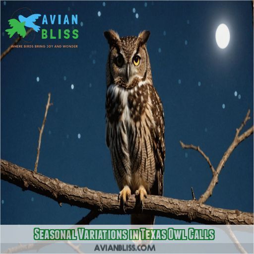 Seasonal Variations in Texas Owl Calls