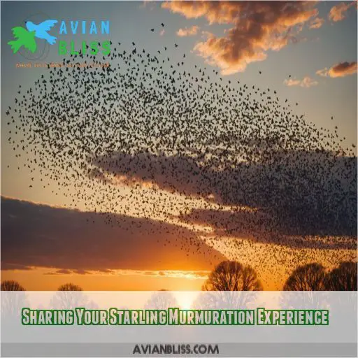 Sharing Your Starling Murmuration Experience