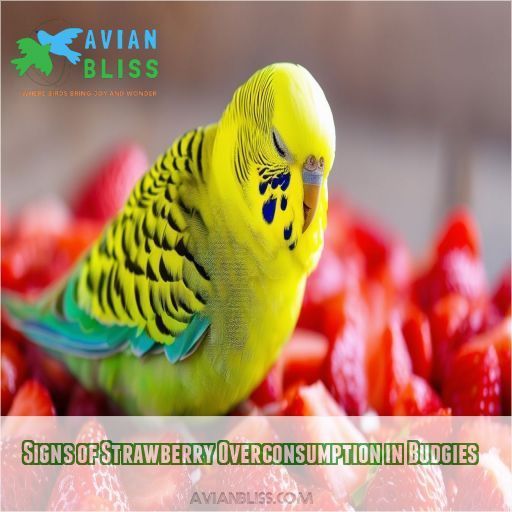 Signs of Strawberry Overconsumption in Budgies