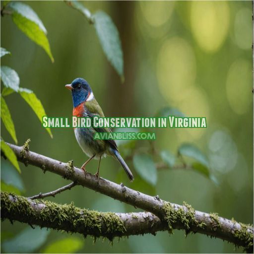 Small Bird Conservation in Virginia