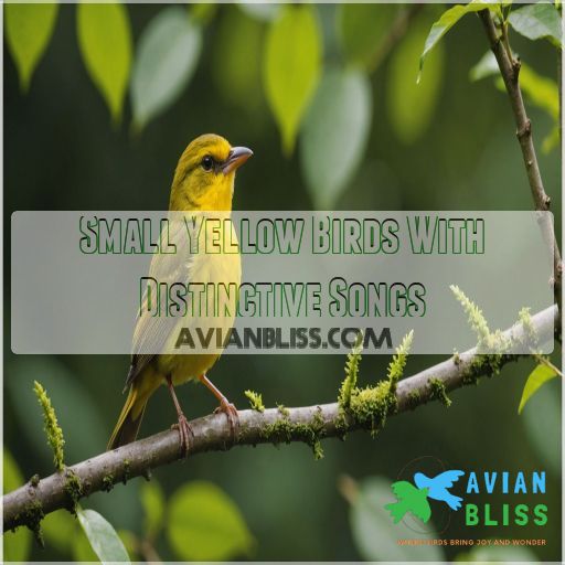 Small Yellow Birds With Distinctive Songs