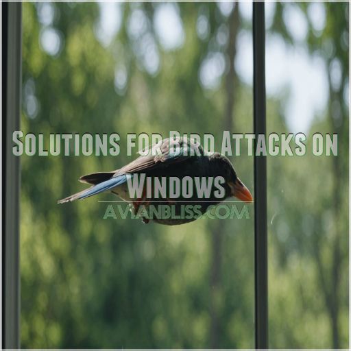 Solutions for Bird Attacks on Windows