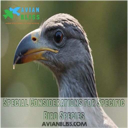 Special Considerations for Specific Bird Species