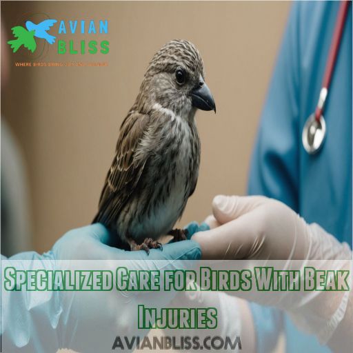 Specialized Care for Birds With Beak Injuries