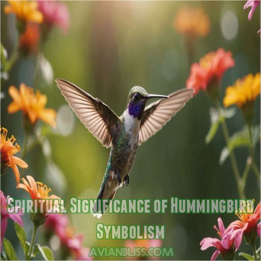 Spiritual Significance of Hummingbird Symbolism