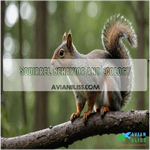 Squirrel Behavior and Ecology