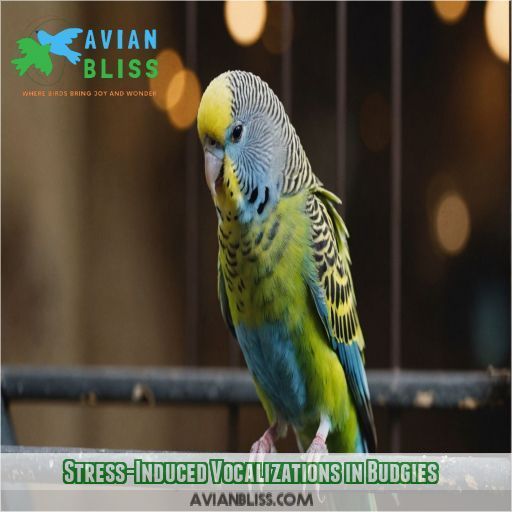 Stress-Induced Vocalizations in Budgies