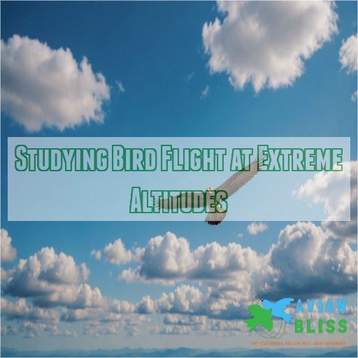 Studying Bird Flight at Extreme Altitudes