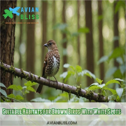 Suitable Habitats for Brown Birds With White Spots