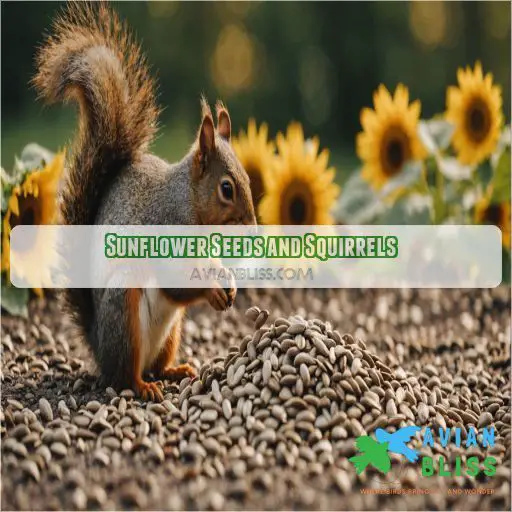 Sunflower Seeds and Squirrels