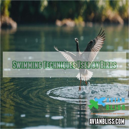 Swimming Techniques Used by Birds