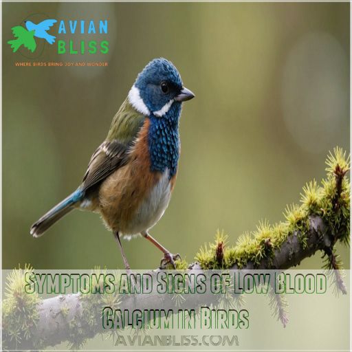 Symptoms and Signs of Low Blood Calcium in Birds