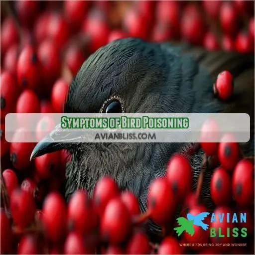 Symptoms of Bird Poisoning