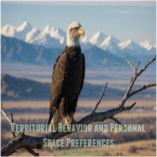 Territorial Behavior and Personal Space Preferences