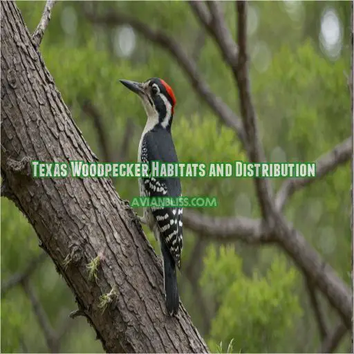 Texas Woodpecker Habitats and Distribution