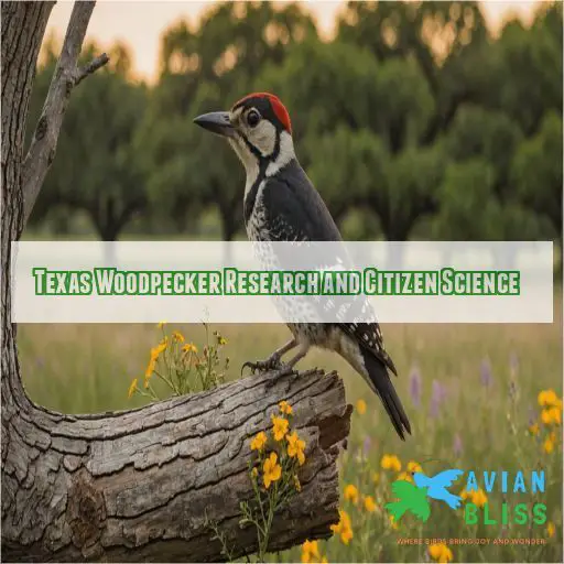 Texas Woodpecker Research and Citizen Science