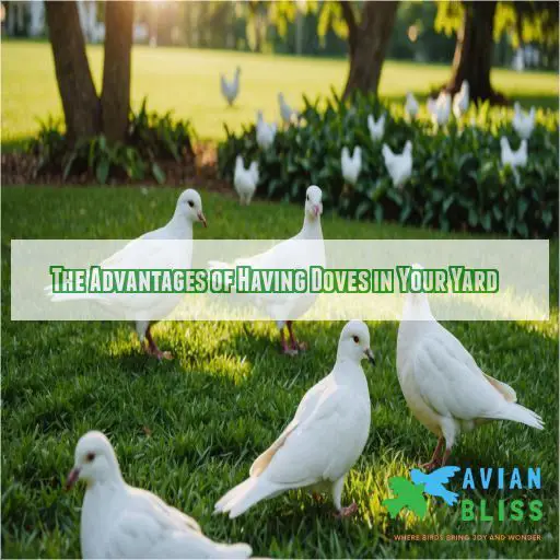 The Advantages of Having Doves in Your Yard