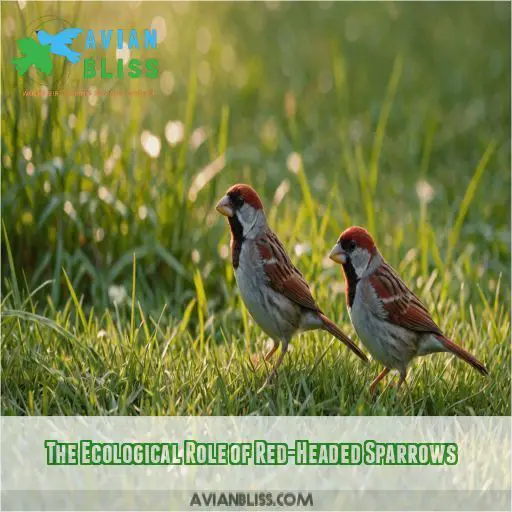 The Ecological Role of Red-Headed Sparrows