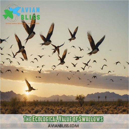 The Ecological Value of Swallows